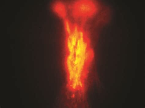 Florida Tech Research Deepens Understanding of Sprite Formation