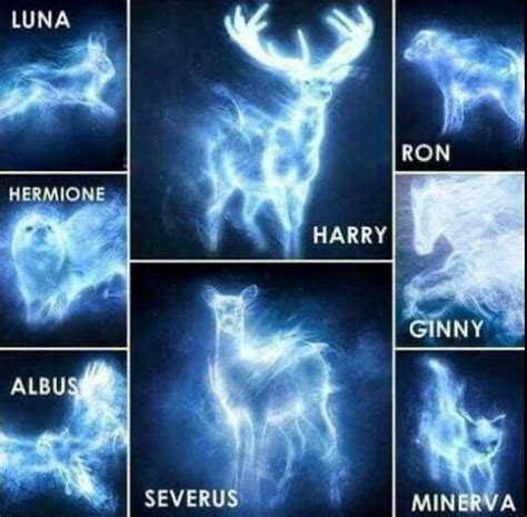 Expecto Patronum | Fun Quiz - Quizizz