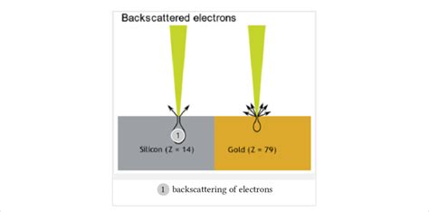 Backscattering of electrons, the extent depends upon the interaction... | Download Scientific ...