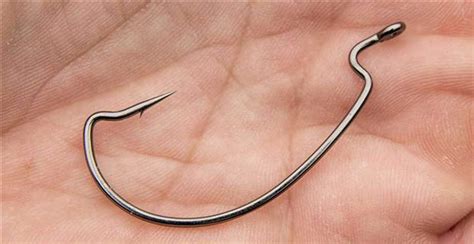 Fishing Hooks Types and Sizes to Consider for Anglers