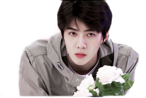 freetoedit oohsehun sehun 吴世勋 exo sticker by @cherrrrryl