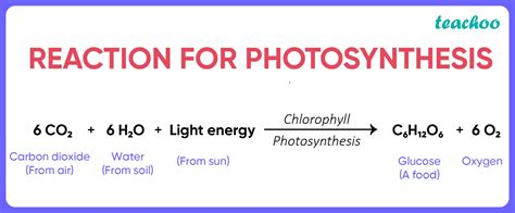 Equation For Photosynthesis