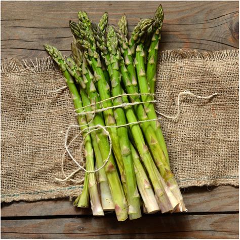 Mary Washington Asparagus Seeds (Asparagus officinalis) Asparagus Seeds ...