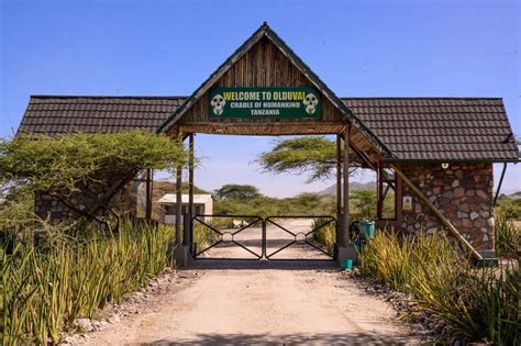 The New Olduvai Gorge Museum – Ngorongoro Conservation Area Authority ...