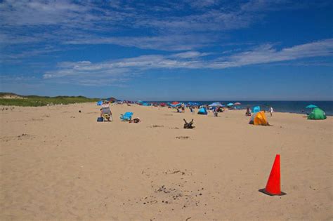 Truro Beaches Guide | Cape Cod Events by Cape Cod Star