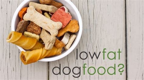 4 Best Low Fat Dog Foods: When & Why Your Dog Might Need It