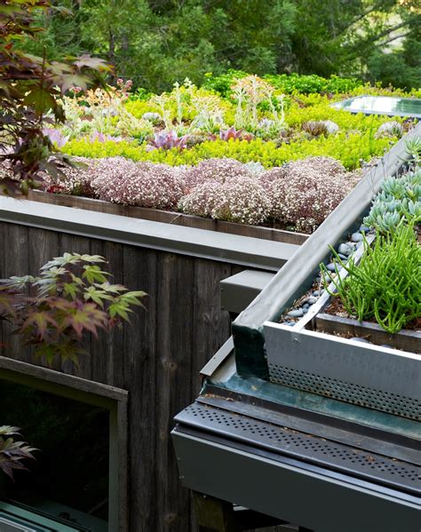 5 Examples of Living Green Roofs - Grass Turf and Succulent Sedums - Homeli