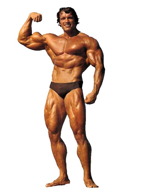 Arnold Schwarzenegger Transparent PNG | PNG Mart