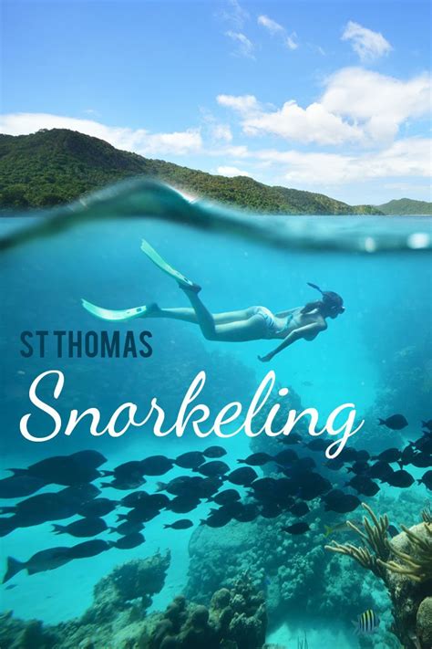 Best St Thomas Snorkeling Tours