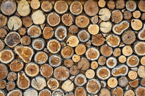 Seamless wood texture of cut tree trunk — Stock Photo © AlekseyPatsyuk ...