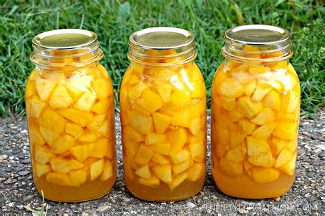 Canning Peaches - Prepper World