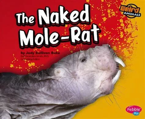 THE NAKED MOLE-RAT Weird Animals $3.98 - PicClick