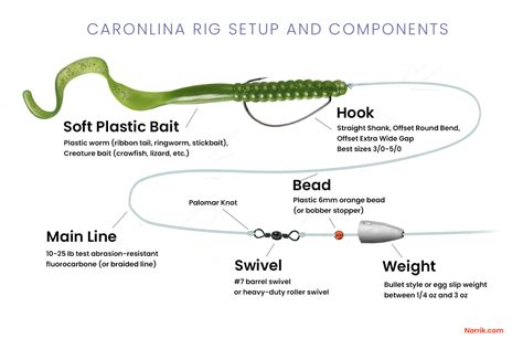 Bass Fishing Rigs From Shore