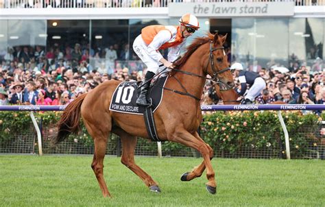 Melbourne Cup winner set to take his place in Zipping Classic