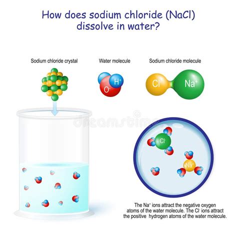 How Does Sodium Chloride NaCl Dissolve in Water Stock Vector ...