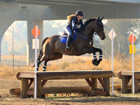 What is an OTTB Horse? Discover the Amazing Benefits of Retraining and ...