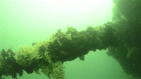 DVIDS - Video - Underwater Images of USS Utah Memorial