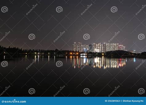 Illuminated Night View Image of Lake Park Editorial Stock Photo - Image of busy, flowers: 256389363