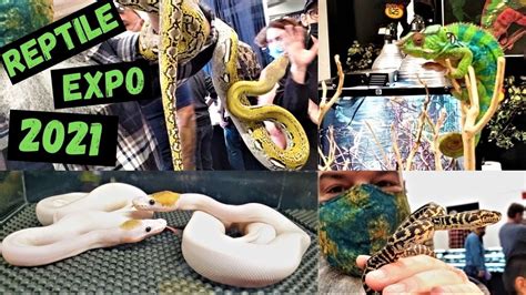 Trip To The Reptile Expo 2021: See all the snakes! - YouTube