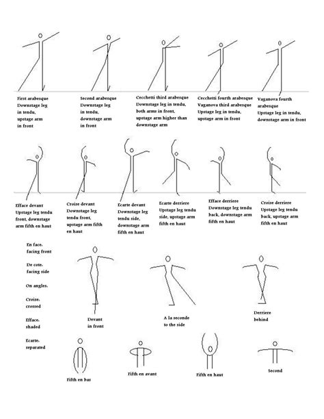 Ballet Body Positions