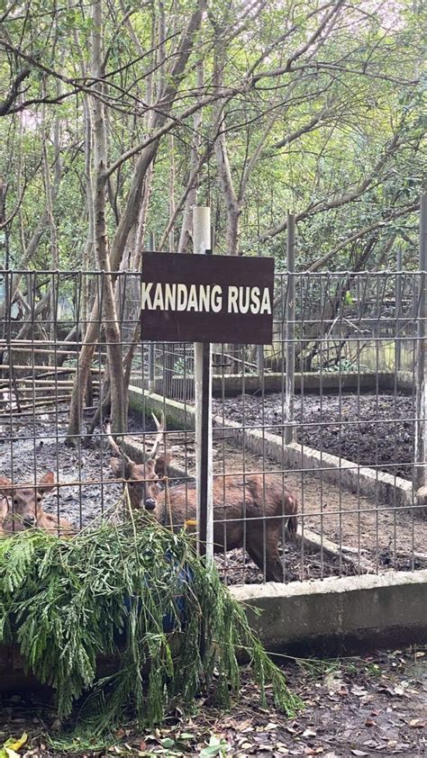 Kebun binatang | Highway signs