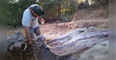 Paleontologists Unearth Fossil of Largest Dinosaur Ever Found in Europe ...