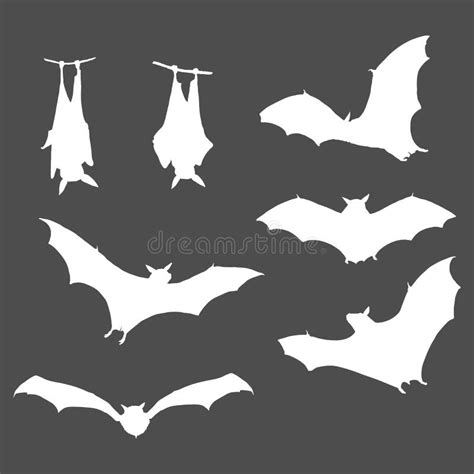 Vector Set of White Bats Silhouettes Stock Vector - Illustration of ...