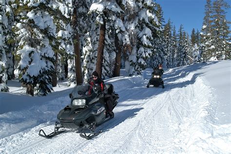 Snowmobile Tour Overview - Lake Tahoe and Nevada Adventures | Lake ...