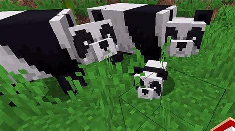 How to Breed Pandas in Minecraft | The Nerd Stash