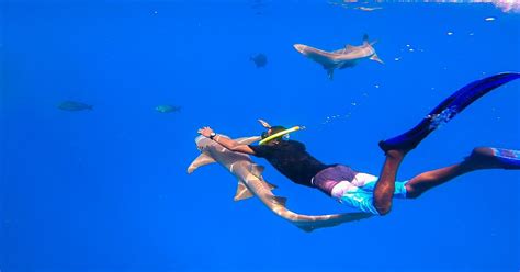 How To Swim With Sharks While Visiting the Maldives