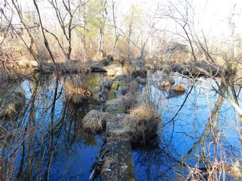 The Best Hiking Trails & Abandoned Buildings of Watchung Reservation