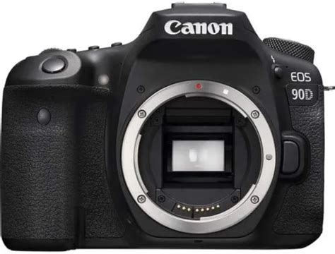 Canon 90D vs 7D Mark II - Which Camera Best Suits Your Needs - Camera Clickz