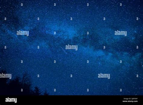 Forest under night sky with stars Stock Photo - Alamy