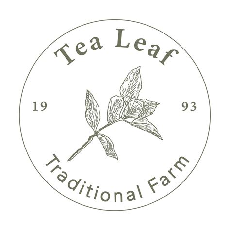 Tea Leaf Logo 16700577 Vector Art at Vecteezy