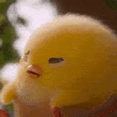 Shakipiyo Gudetama GIF - Shakipiyo Gudetama - Discover & Share GIFs