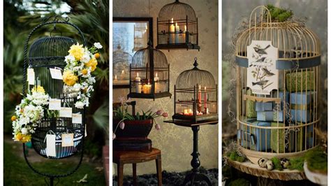 Bird Cage Design Ideas