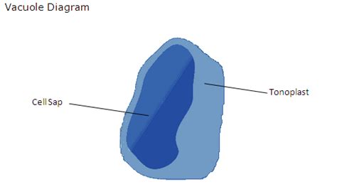 Cells and Cell Structure - Earth Site Education