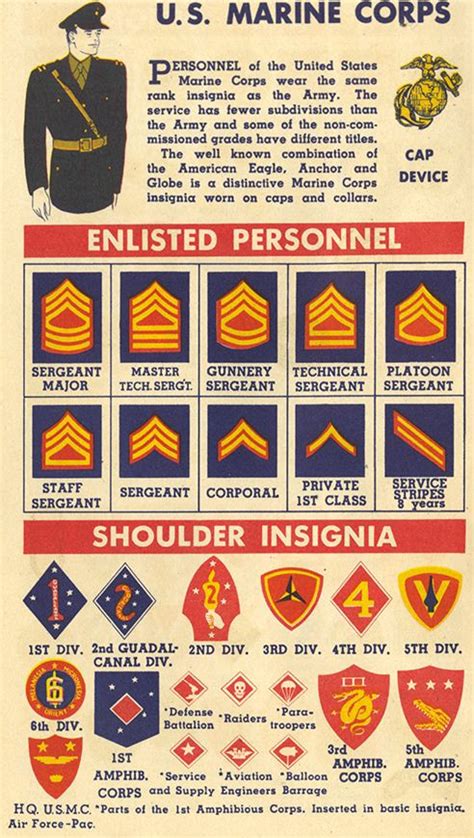 U.S. Marine Rank Insignia of World War II