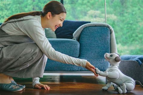 Should you spend $3,000 on a robot pet for your family? (future tech 2019)