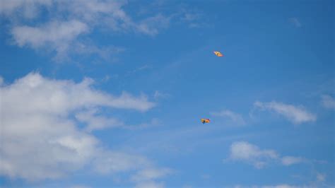 Kites In Sky Colorful Kites Flying In Blue Stock Footage SBV-348588039 ...