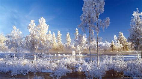 Bing Winter Wallpapers - Top Free Bing Winter Backgrounds - WallpaperAccess