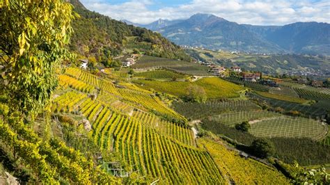 The Beginner's Guide To Italy's South Tyrol Wine Region