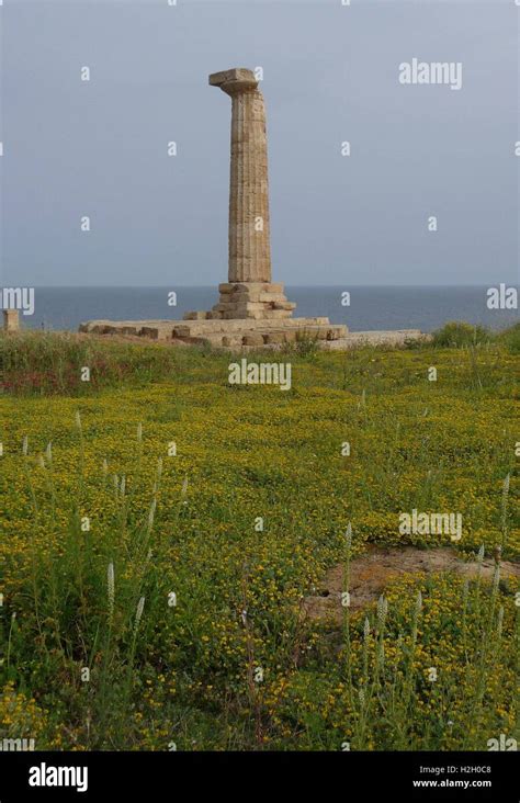 Column of ancient Hera Temple at Capo Colonna near Crotone, Calabria ...