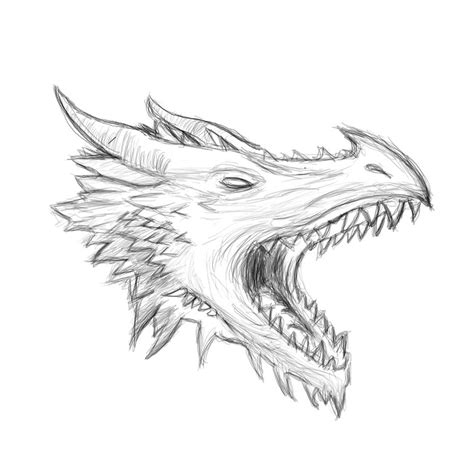 Dragon-head Drawing by keijig on DeviantArt