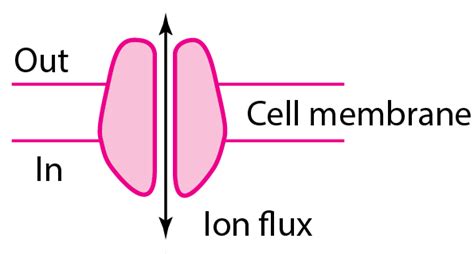 Table: Some Types of Physiologic and Drug-Receptor Proteins - Merck Manuals Professional Edition