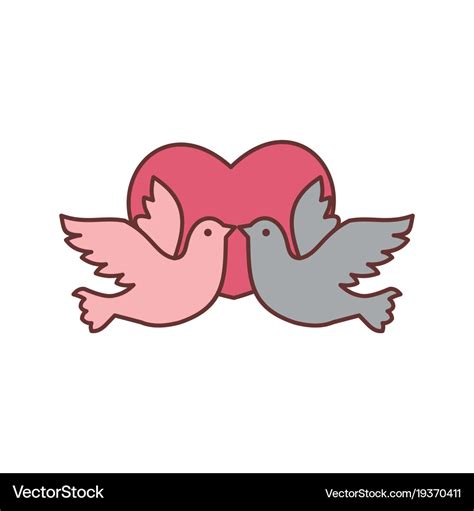 Dove bird love graphic Royalty Free Vector Image