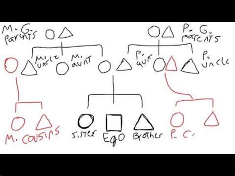 Introduction to Kinship Diagrams | Cultural Anthropology - YouTube