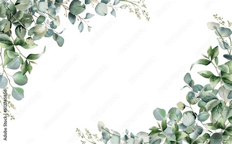 Eucalyptus Leaves Clipart