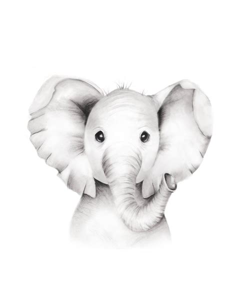 Baby Elephant Nursery Print, Baby Animal Sketch, Safari Nursery Wall ...