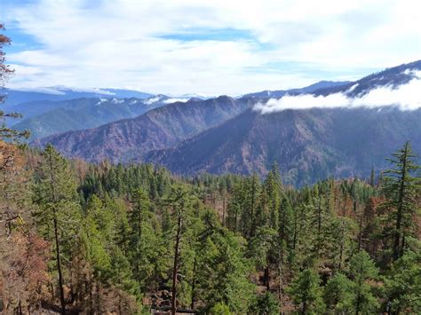 The Siskiyou Crest : KLAMATH NATIONAL FOREST PROPOSES MASSIVE POST-FIRE LOGGING PROJECT IN 2014 ...